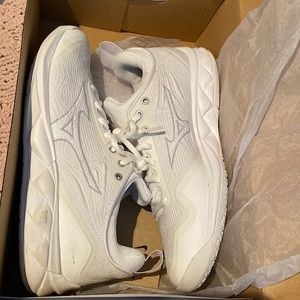 Mizuno Volleyball shoes (Wave Luminous 2)